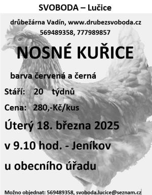 Prodej Kuřic 1